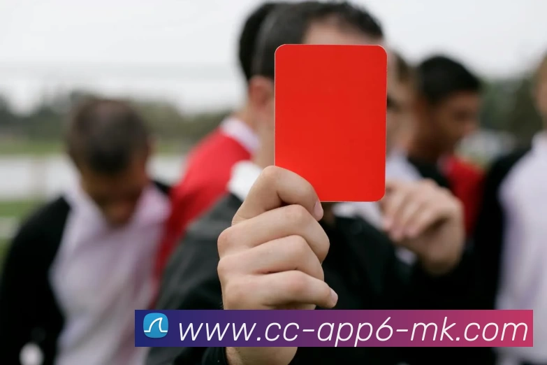 MK体育APP 封面图